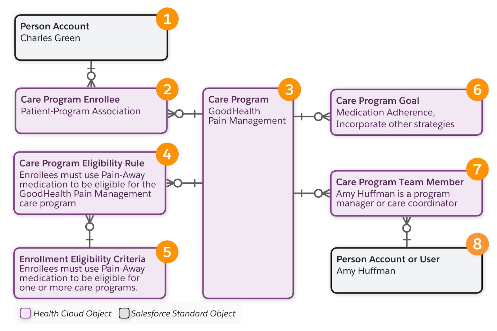 The Care Program object and related objects.