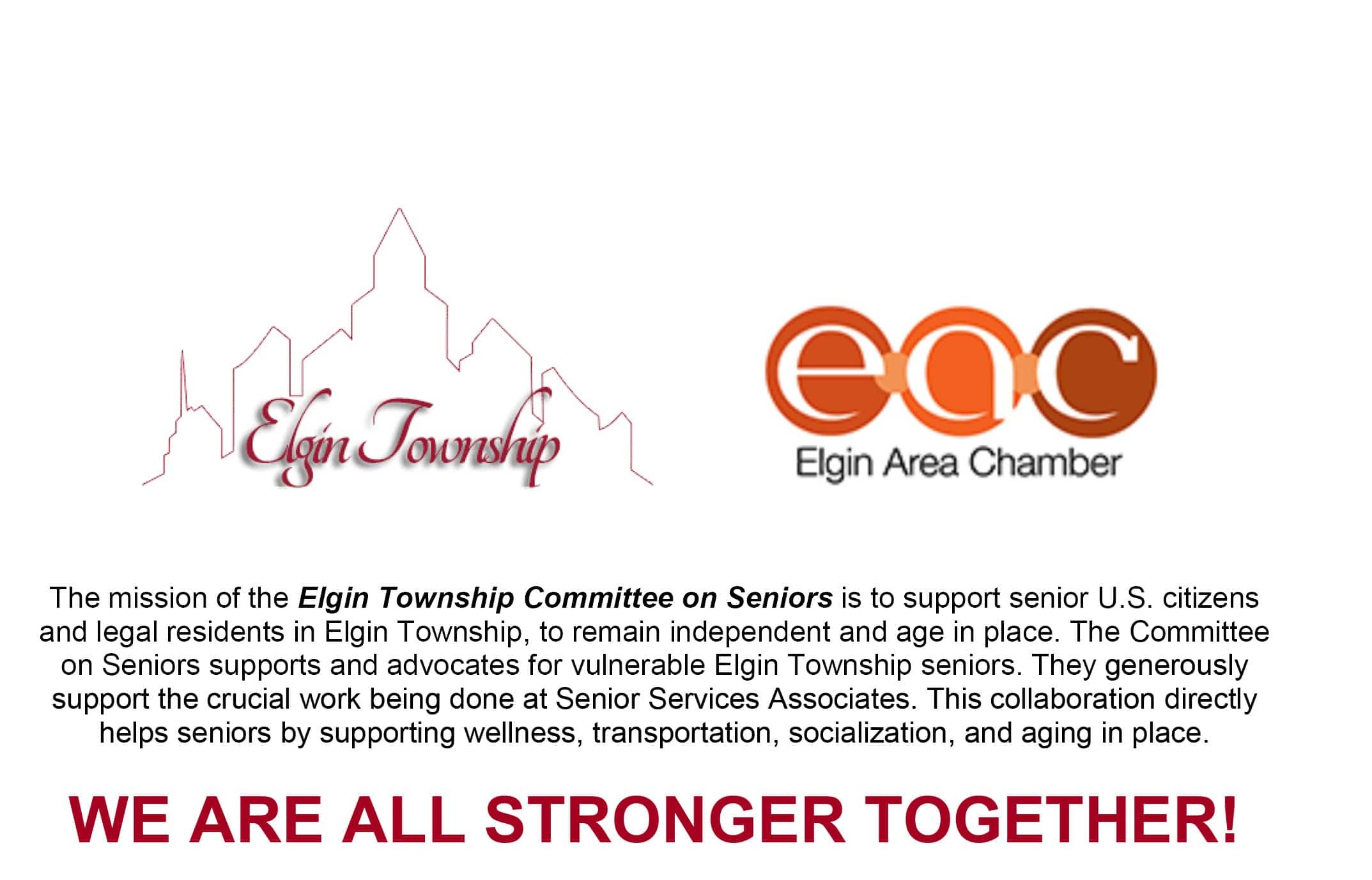 Group of seniors at Elgin Township Committee on Seniors event