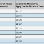 Pinellas CARES Financial Assistance Program: Emergency Relief for COVID-19 Impacted Residents and Businesses