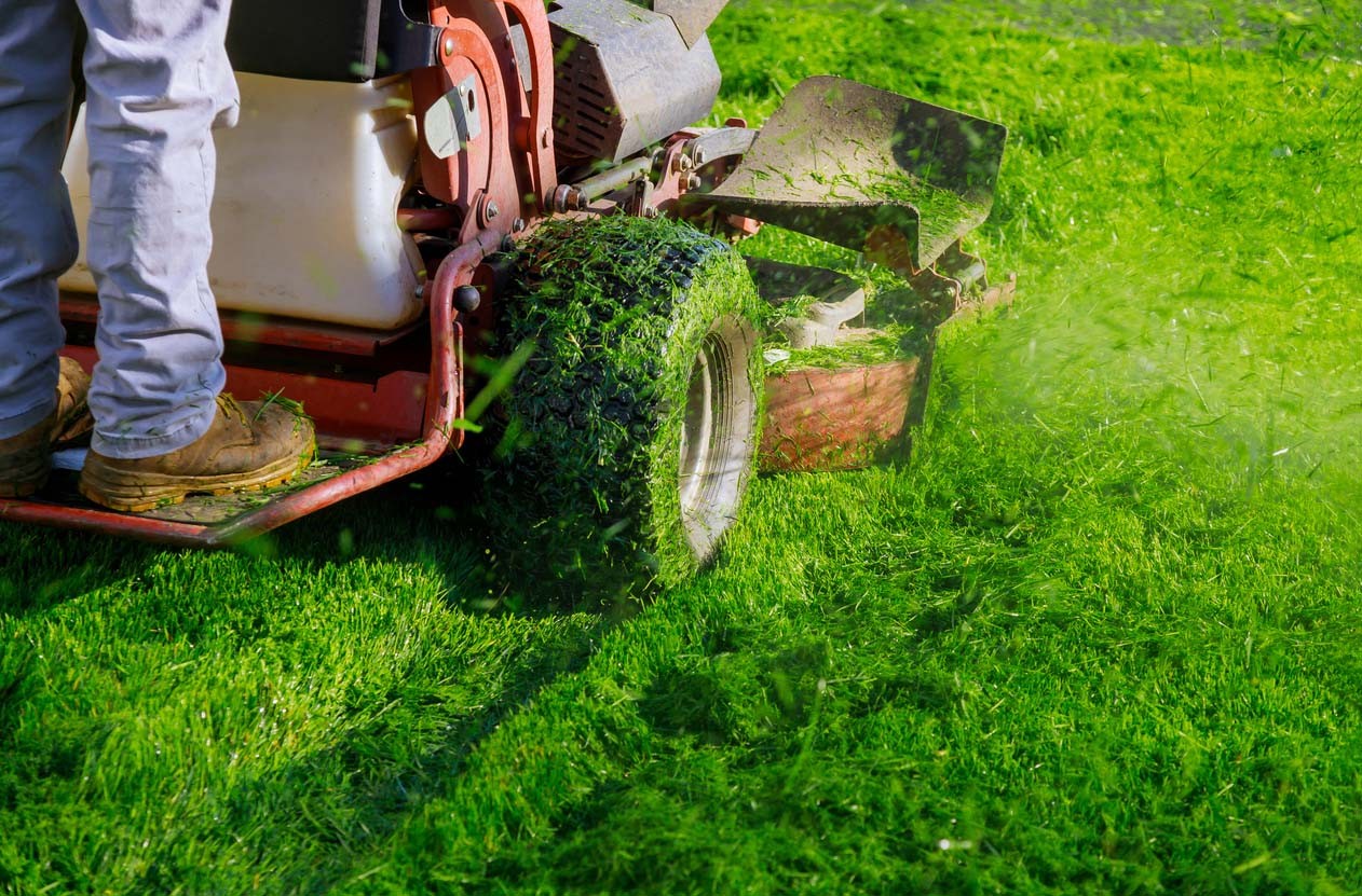 A worker on a riding lawn mower, maintaining a healthy lawn.